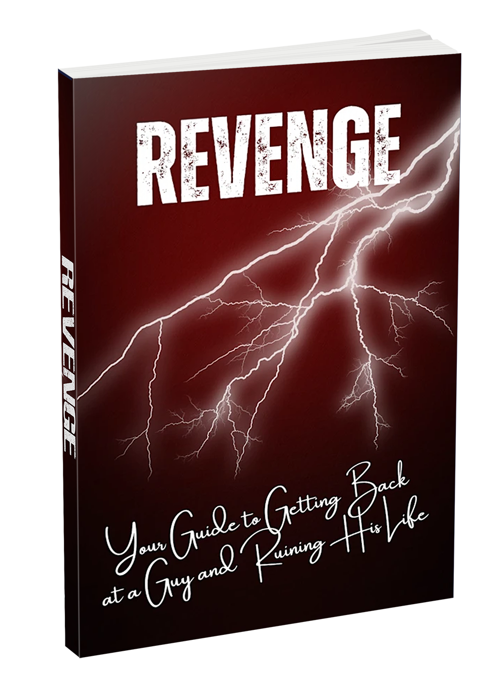 REVENGE; Get Back at a Guy and Ruin His Life